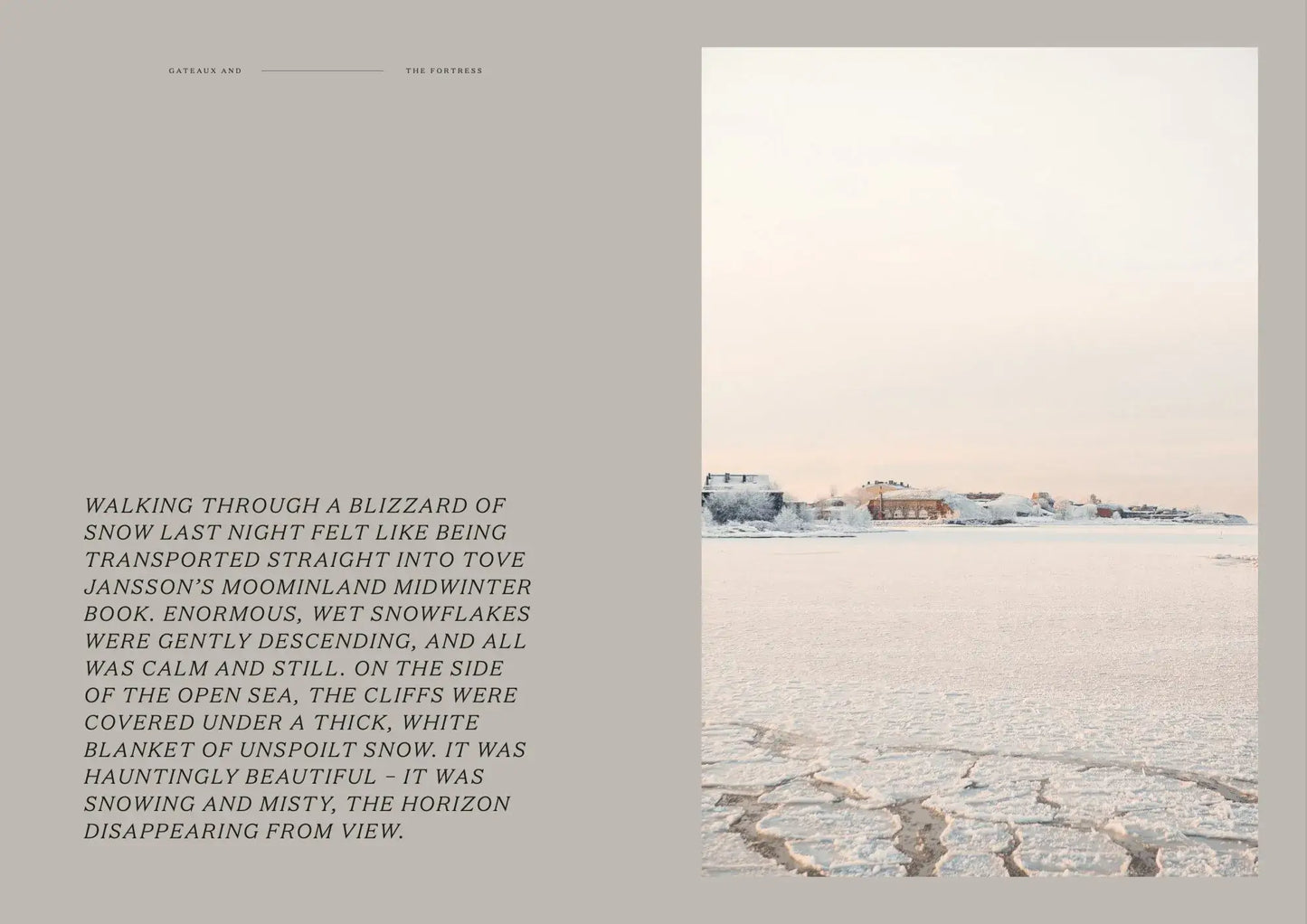 Gateaux And The Fortress - baking book