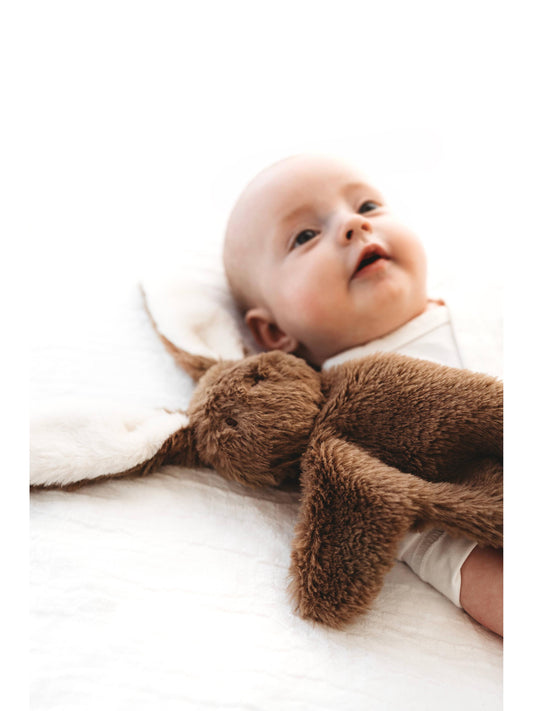 Bunny snuggle bear - Brown