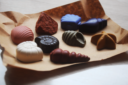 Ocean Shells Beeswax Crayons, Set of 8 Natural Seashell Shapes
