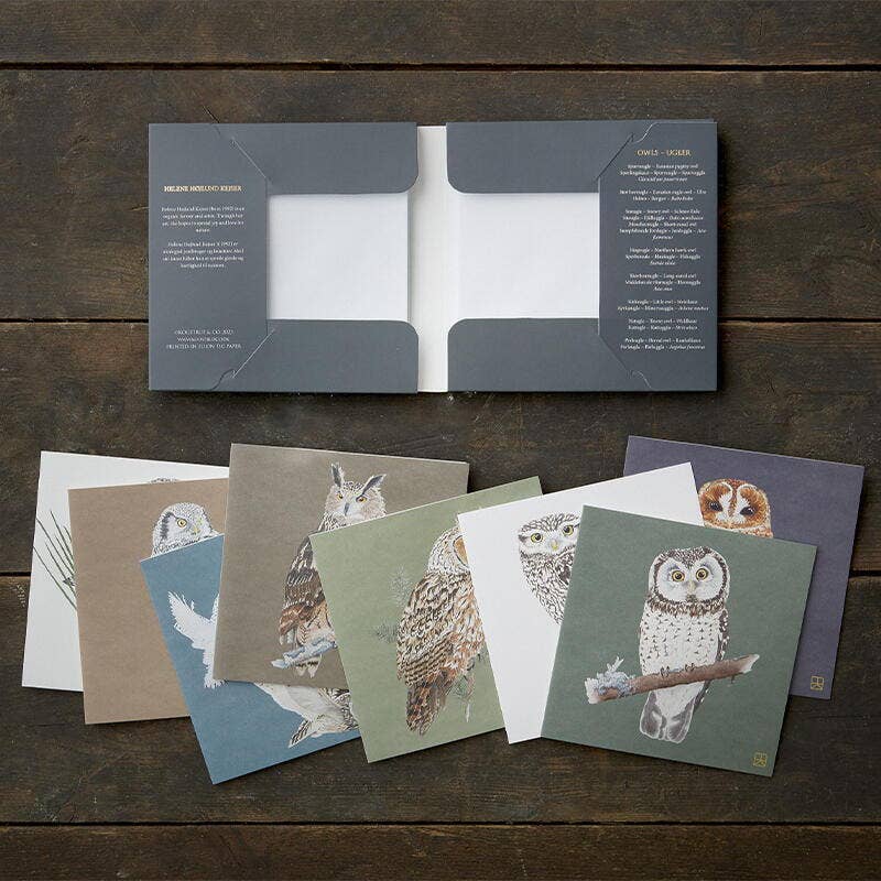 Owls, Square Card Folder, 8 Double Cards & Envelopes, Gold Print, FSC Paper