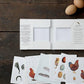 Chickens, Square Card Folder, 8 Cards & Envelopes, 15×15 cm