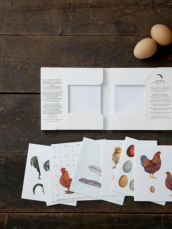 Chickens, Square Card Folder, 8 Cards & Envelopes, 15×15 cm