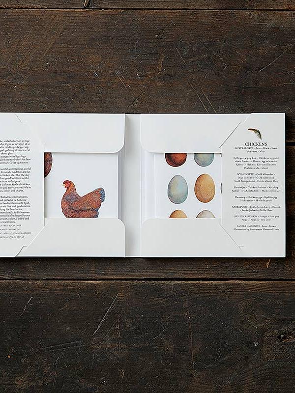 Chickens, Square Card Folder, 8 Cards & Envelopes, 15×15 cm