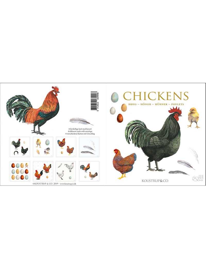 Chickens, Square Card Folder, 8 Cards & Envelopes, 15×15 cm
