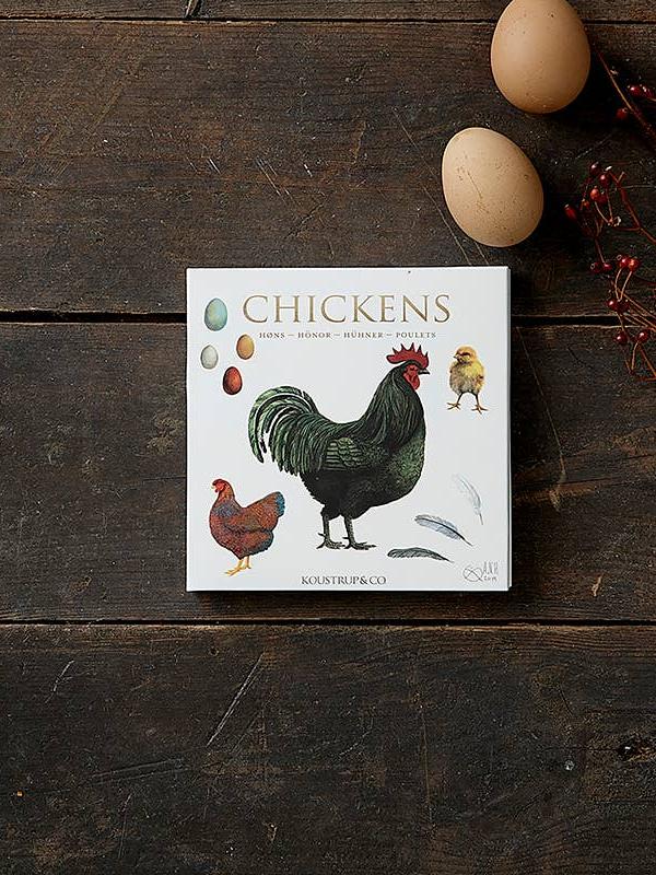 Chickens, Square Card Folder, 8 Cards & Envelopes, 15×15 cm