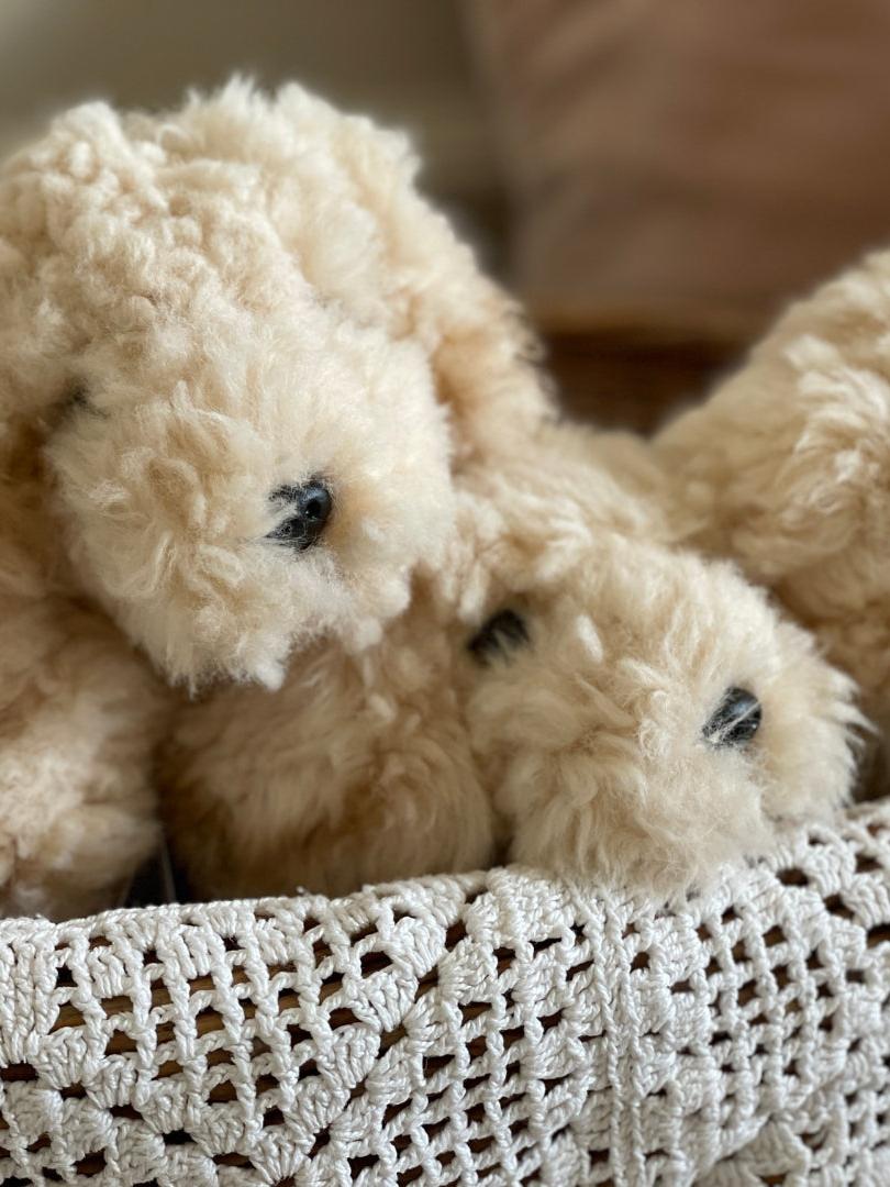 Cockapoo Plush, Sitting