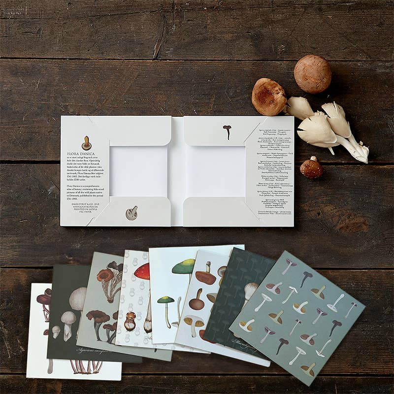 Flora Danica Mushrooms, Square Card Folder, 8 Double Cards & Envelopes, 15×15 cm, Gold Print