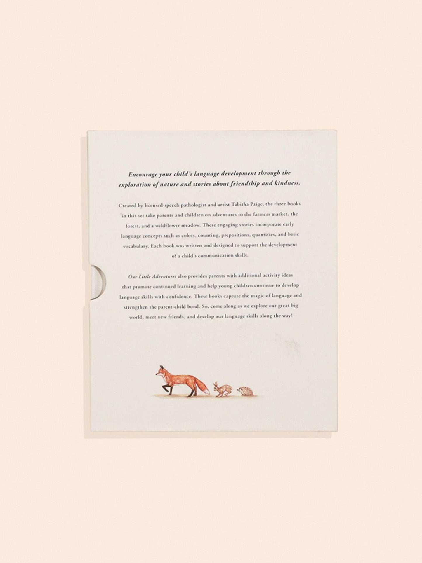 Our Little Adventures Box Set for Kids (3 Board Books)