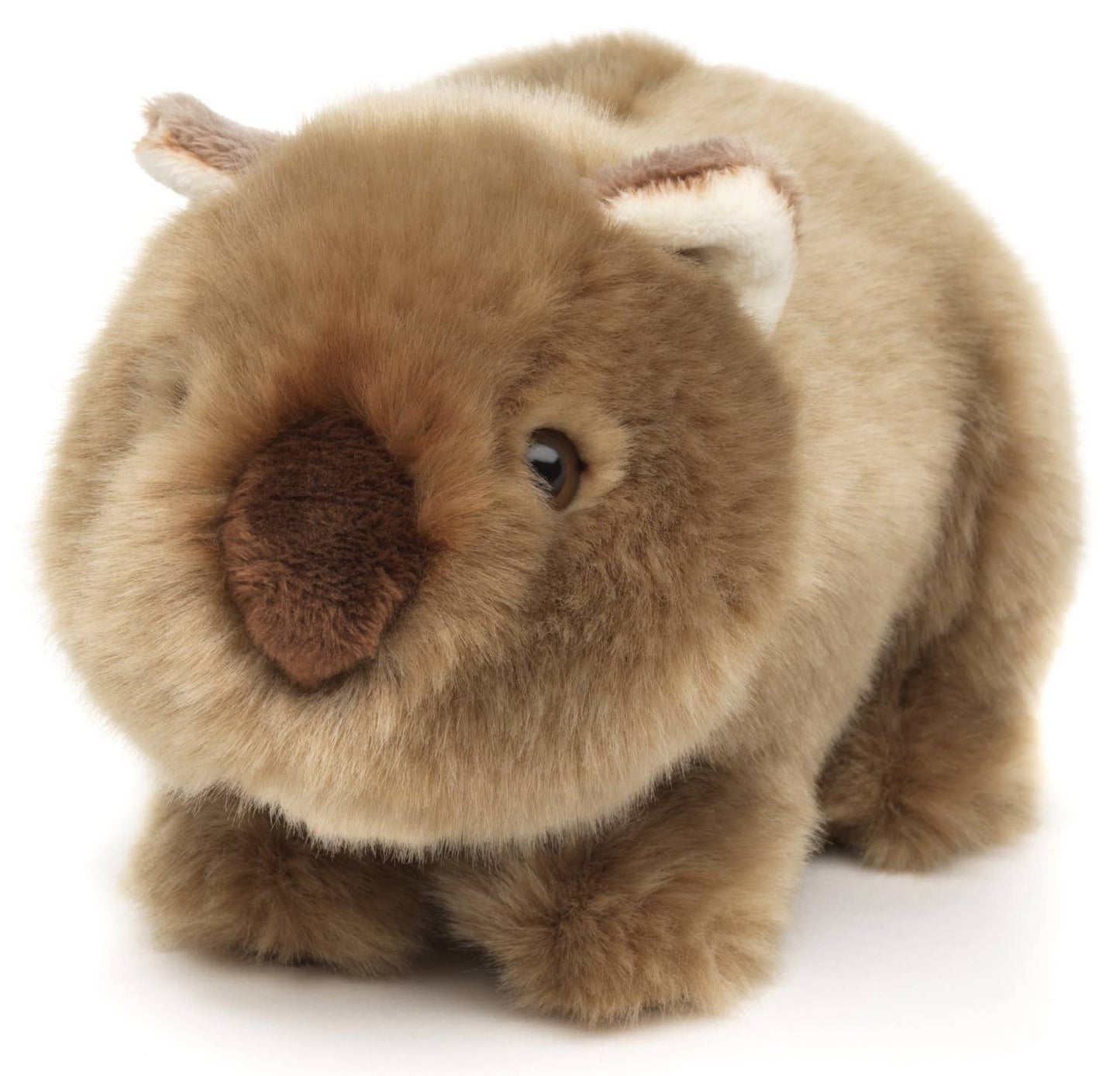 Wombat Plush, Realistic, 19 cm, Super Soft & Recycled Filling