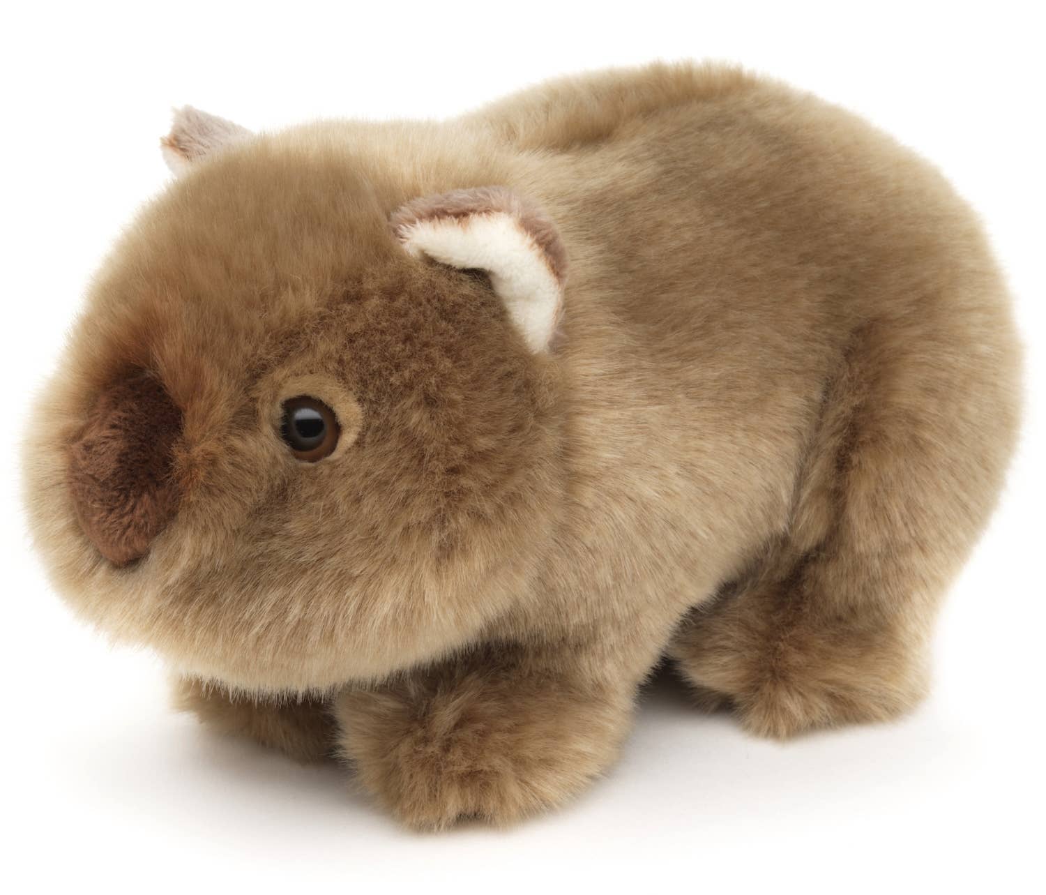 Wombat Plush, Realistic, 19 cm, Super Soft & Recycled Filling