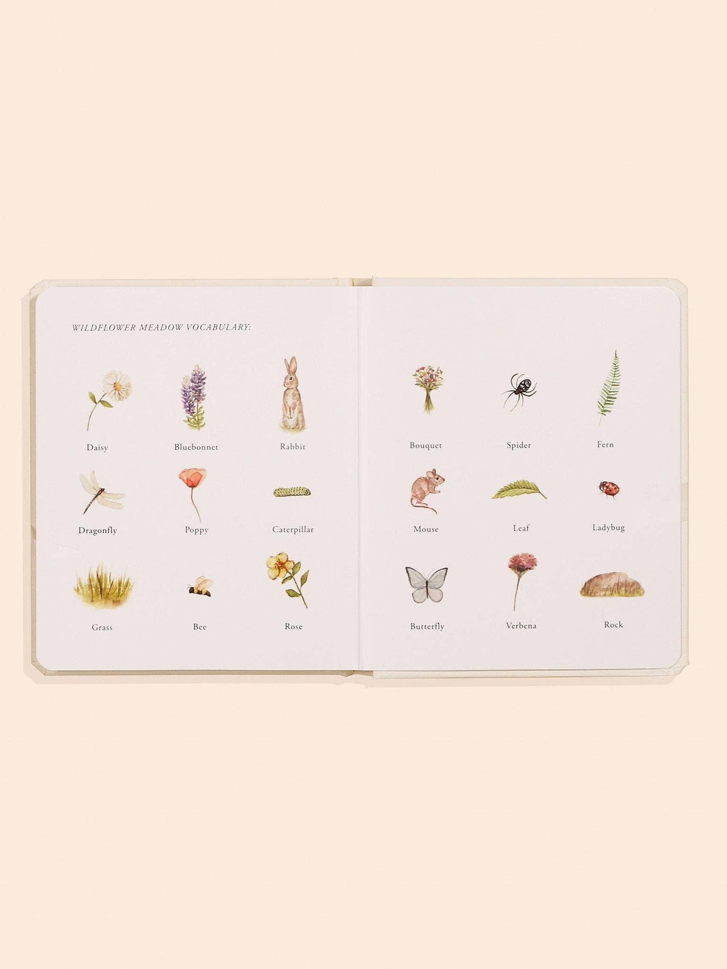 Our Little Adventures Box Set for Kids (3 Board Books)