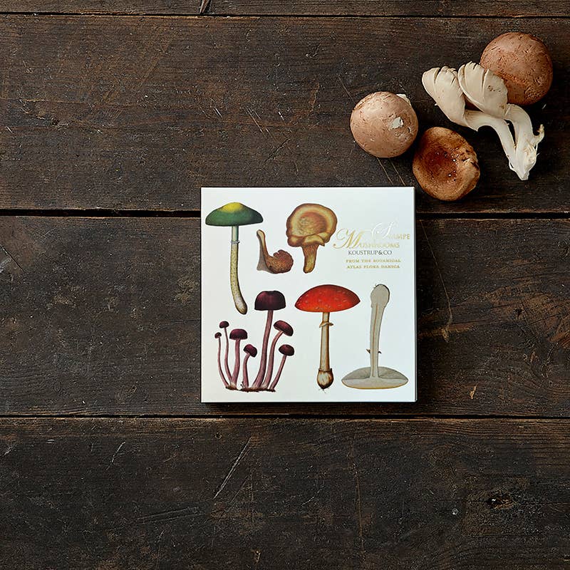 Flora Danica Mushrooms, Square Card Folder, 8 Double Cards & Envelopes, 15×15 cm, Gold Print