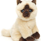 Siamese cat cuddly toy, beige-brown