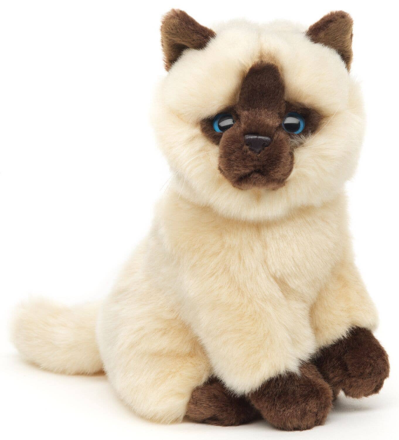 Siamese cat cuddly toy, beige-brown