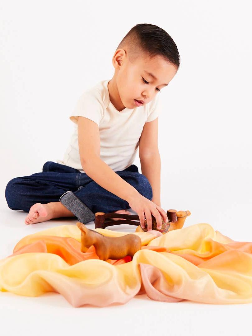 Earth Playsilksdesert