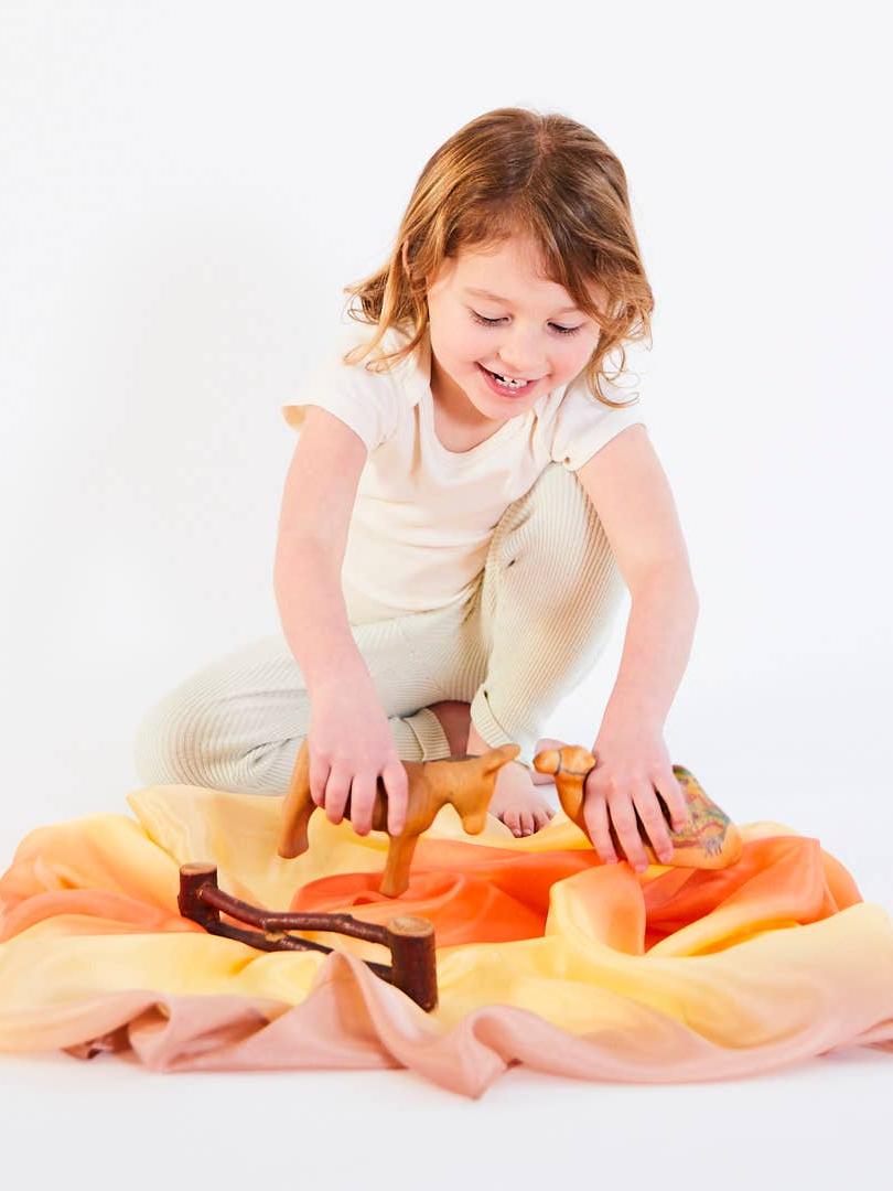 Earth Playsilksdesert