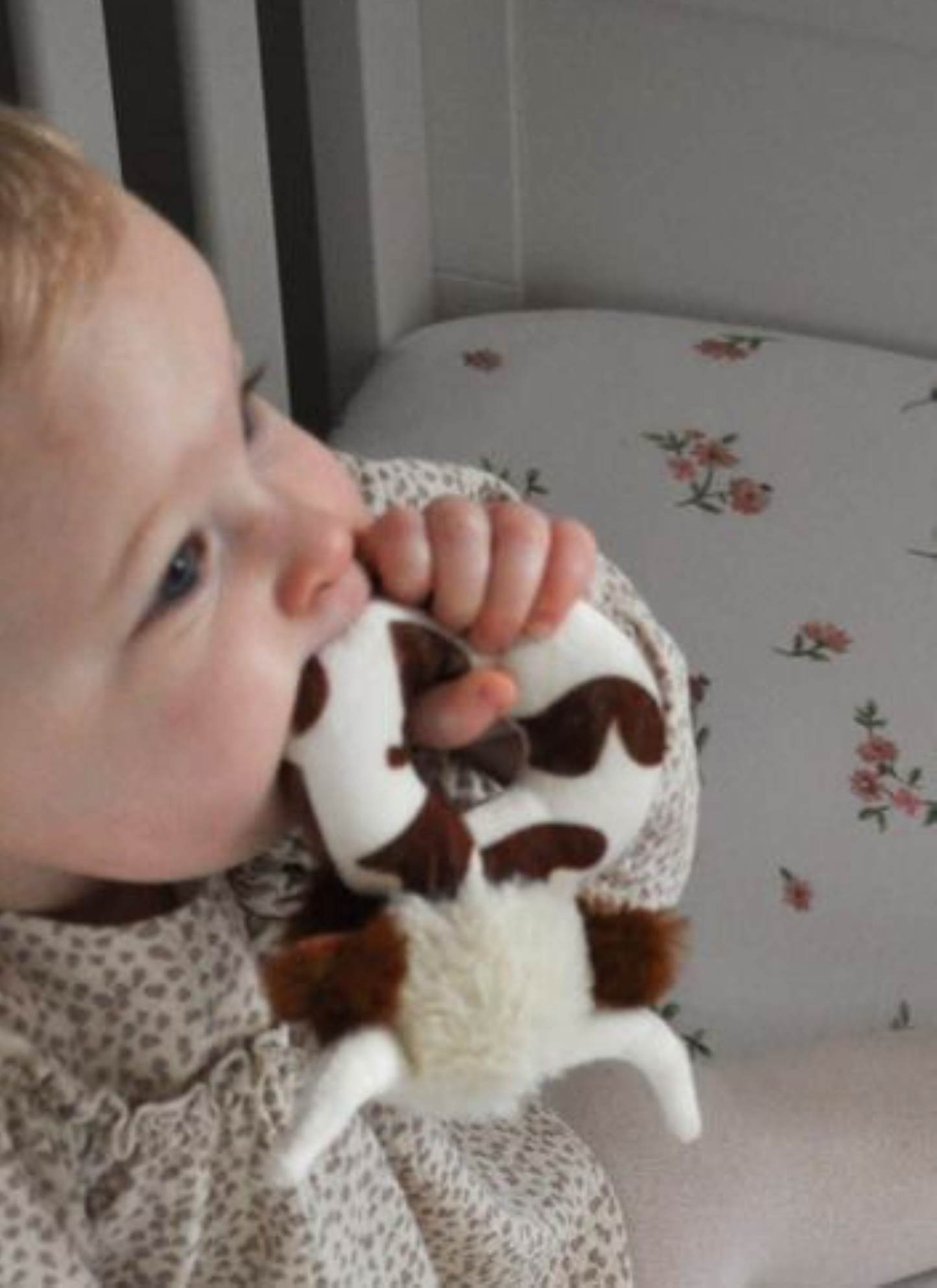 Baby Rattle, Texas Longhorn Highland Cow