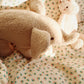 Elephant Teddy, Foxie Oak