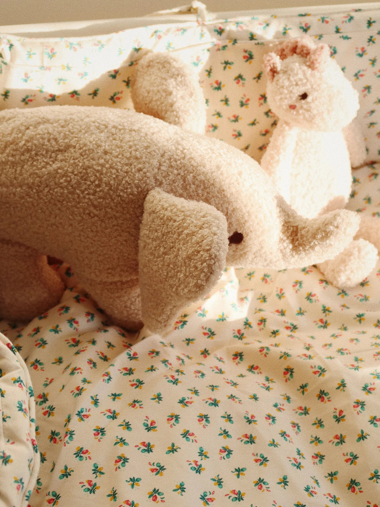 Elephant Teddy, Foxie Oak
