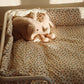 Elephant Teddy, Foxie Oak