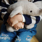 Elephant Teddy, Foxie Oak