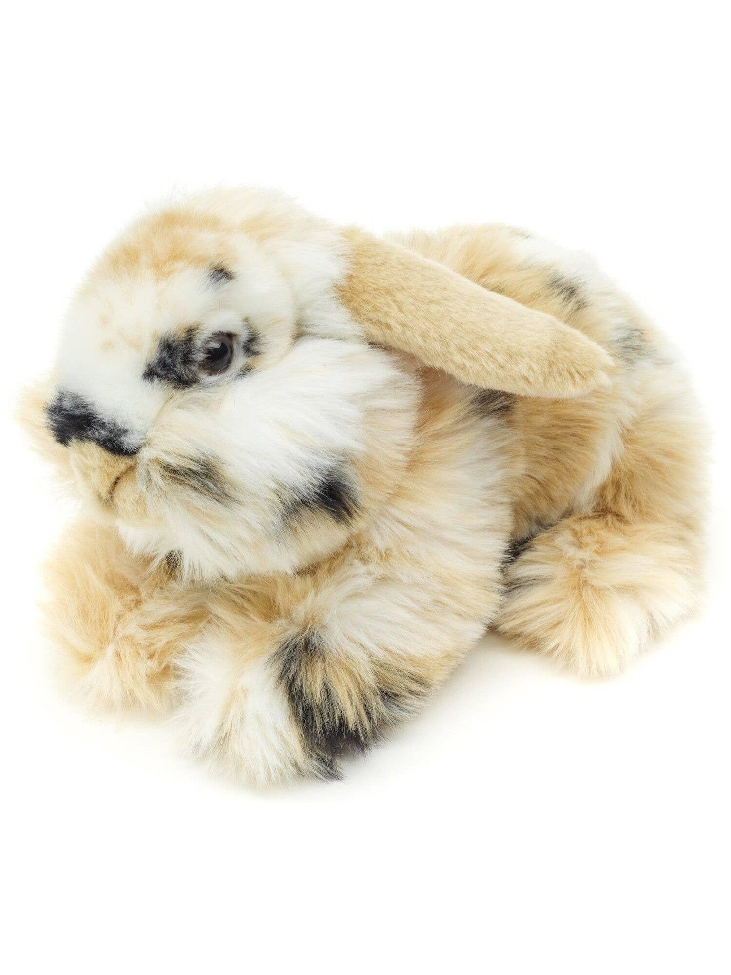Lionhead rabbit, lying down (s/b/w) - 23 cm - cuddly/plush