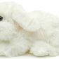 Lionhead Rabbit, White.