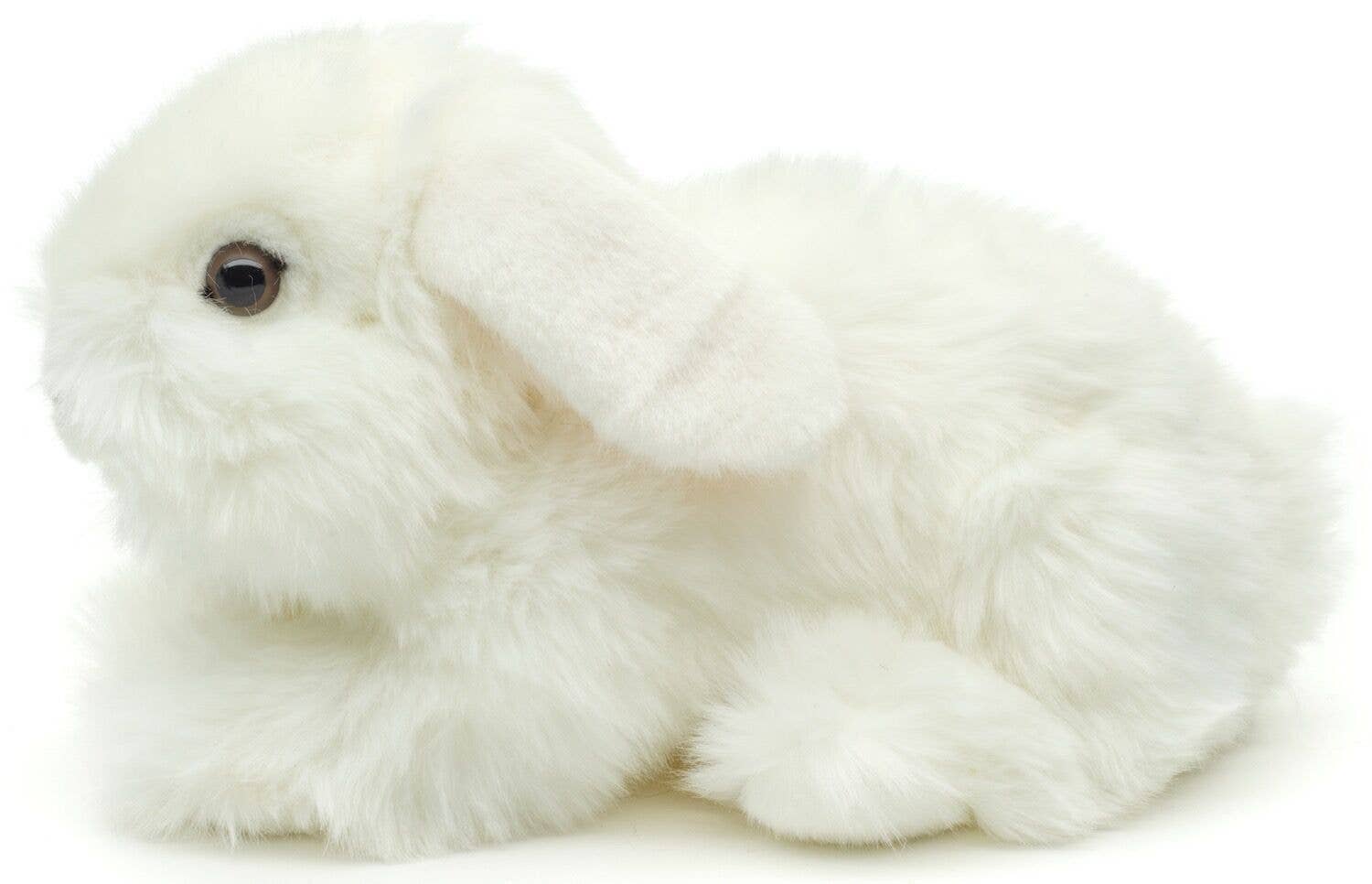 Lionhead Rabbit, White.