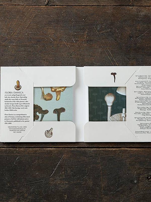 Flora Danica Mushrooms, Square Card Folder, 8 Double Cards & Envelopes, 15×15 cm, Gold Print