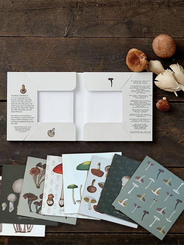 Flora Danica Mushrooms, Square Card Folder, 8 Double Cards & Envelopes, 15×15 cm, Gold Print