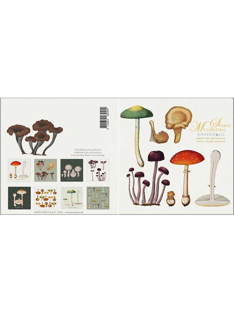 Flora Danica Mushrooms, Square Card Folder, 8 Double Cards & Envelopes, 15×15 cm, Gold Print