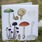 Flora Danica Mushrooms, Square Card Folder, 8 Double Cards & Envelopes, 15×15 cm, Gold Print