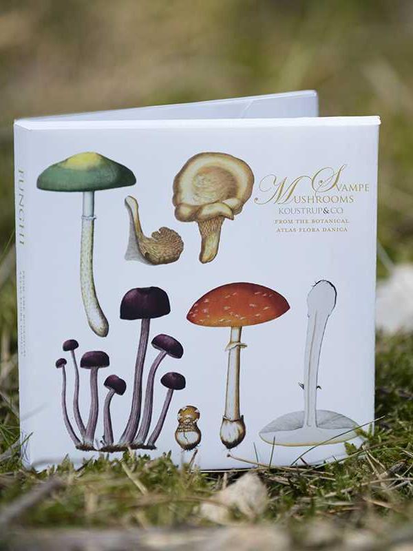 Flora Danica Mushrooms, Square Card Folder, 8 Double Cards & Envelopes, 15×15 cm, Gold Print