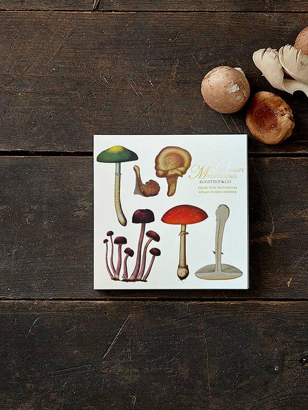 Flora Danica Mushrooms, Square Card Folder, 8 Double Cards & Envelopes, 15×15 cm, Gold Print