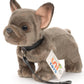 French Bulldog Plush, Gray, With Leash & Collar
