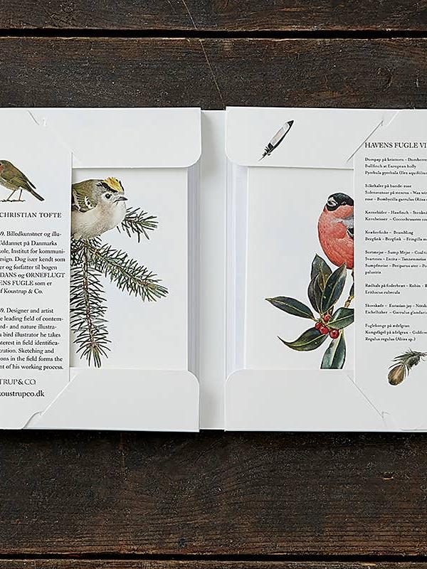 Garden Birds in Winter, 8 Double Cards & Envelopes, FSC Paper