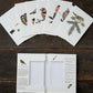 Garden Birds in Winter, 8 Double Cards & Envelopes, FSC Paper