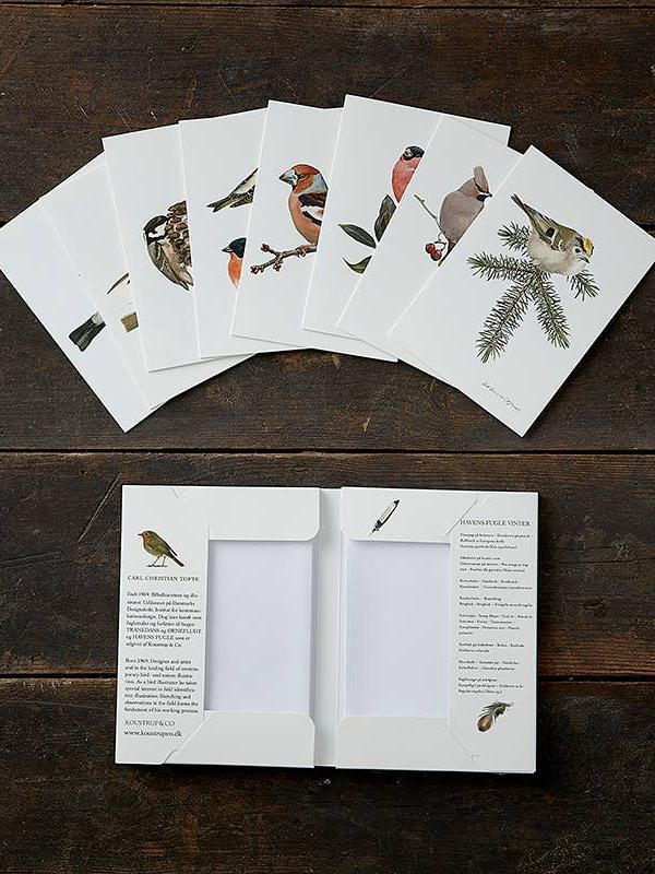 Garden Birds in Winter, 8 Double Cards & Envelopes, FSC Paper