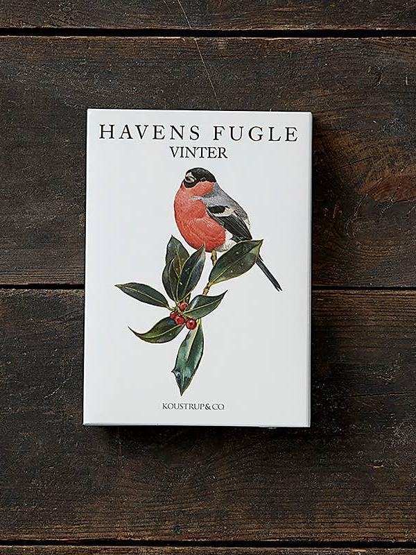 Garden Birds in Winter, 8 Double Cards & Envelopes, FSC Paper