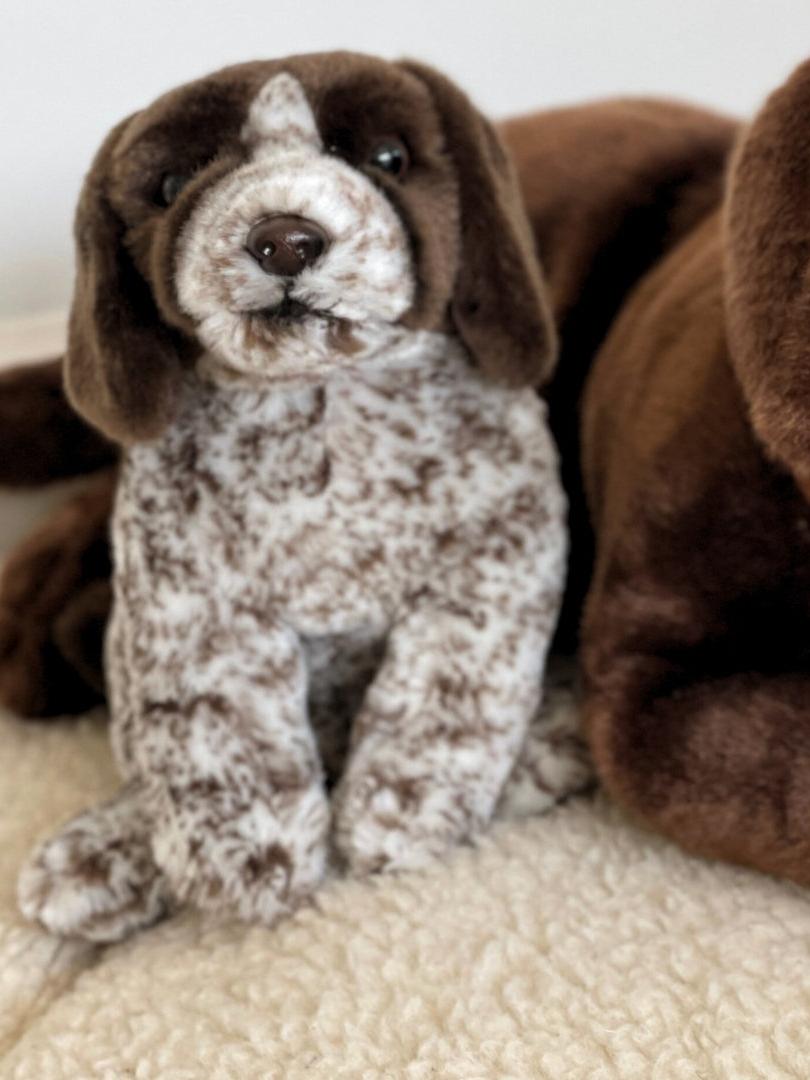 German Wirehaired Puppy, 30 cm, Realistic Plush Toy