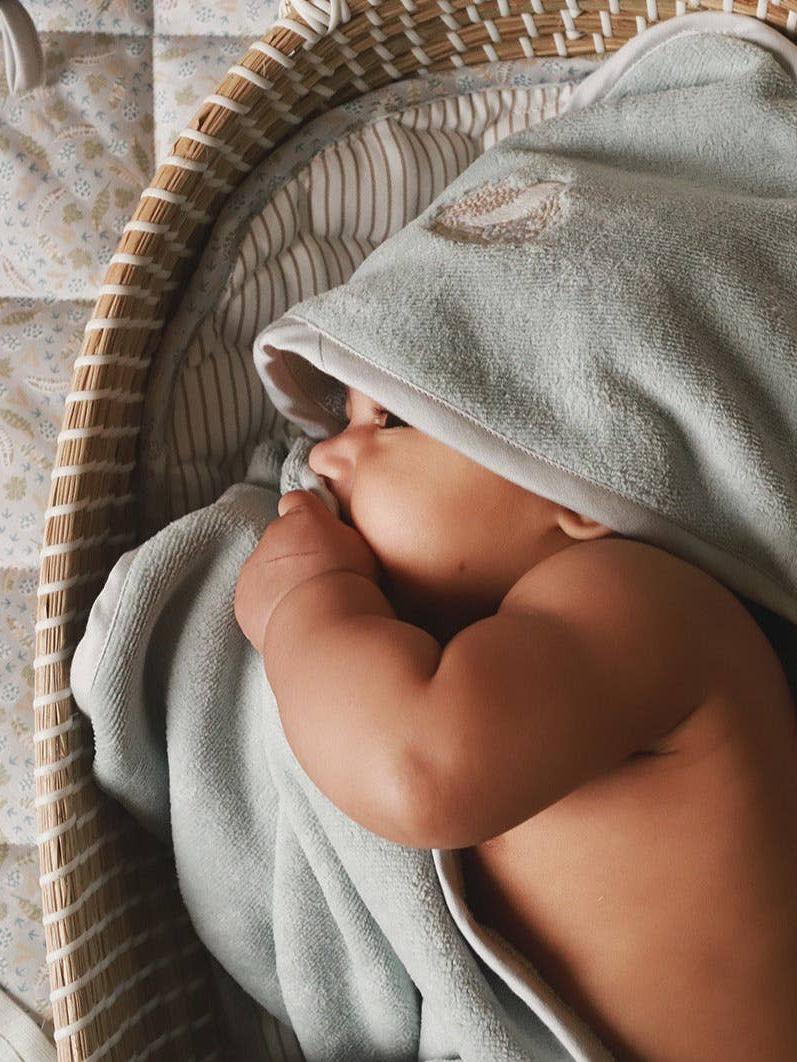 Hooded Towel, Quail
