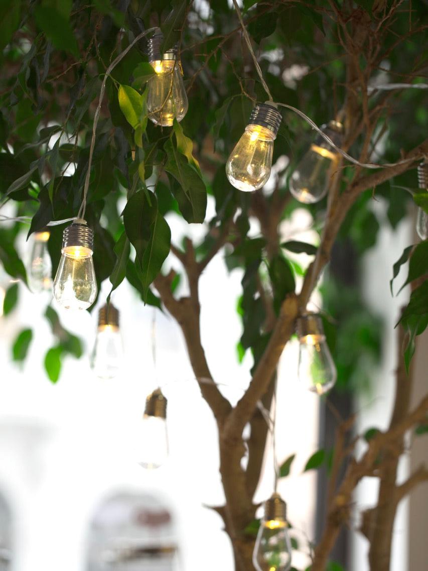 Huckleberry, Bulb String Lights