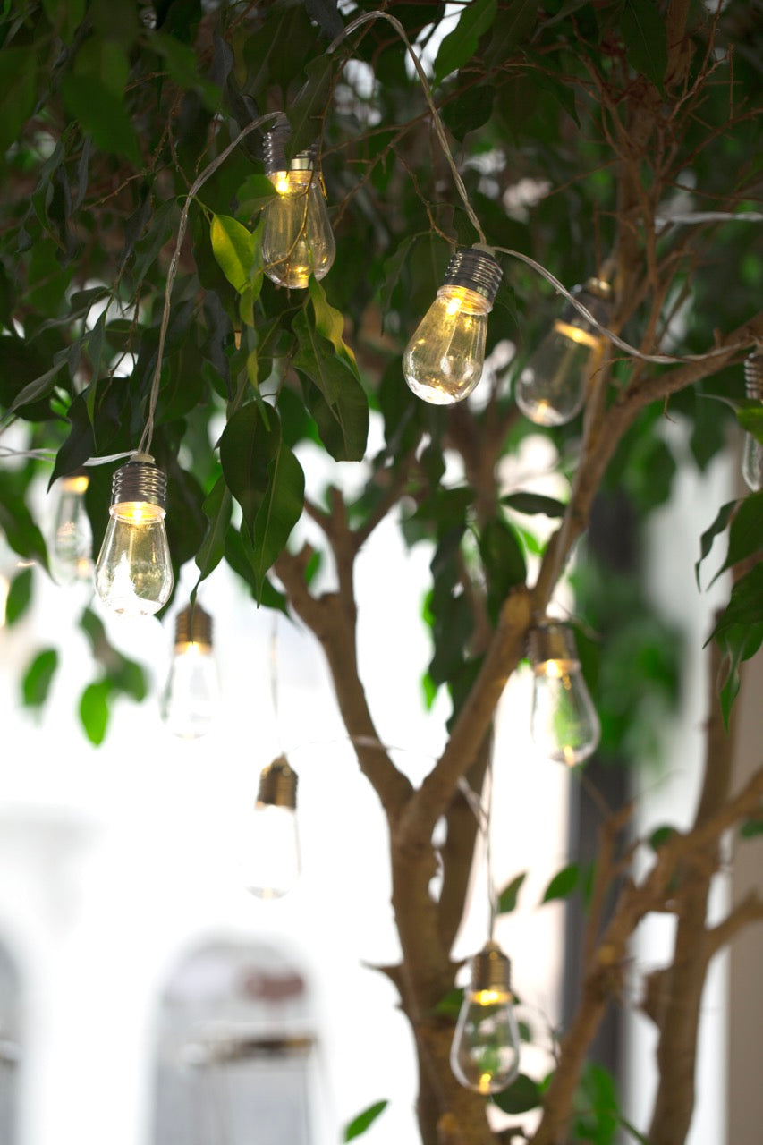 Huckleberry, Bulb String Lights