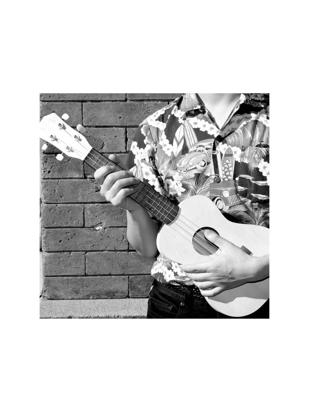 Huckleberry, Make Your Own Ukulele