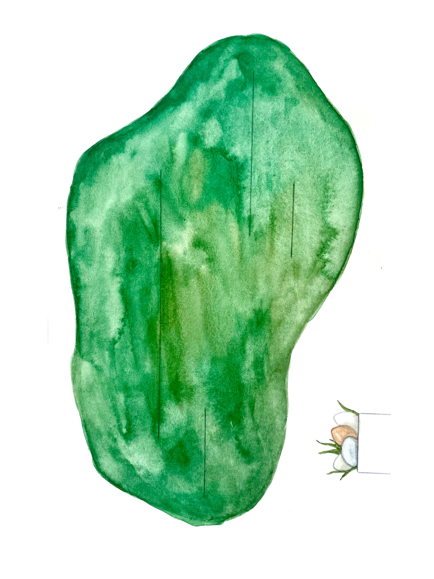 It’s Quite True Paper Craft Kit – With Audio Fairy Tale