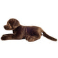 Labrador, Chocolate Brown, 50 cm, Plush Toy