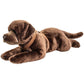 Labrador Plush, Lying with Harness, Brown, 60 cm