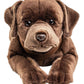 Labrador Plush, Lying with Harness, Brown, 60 cm