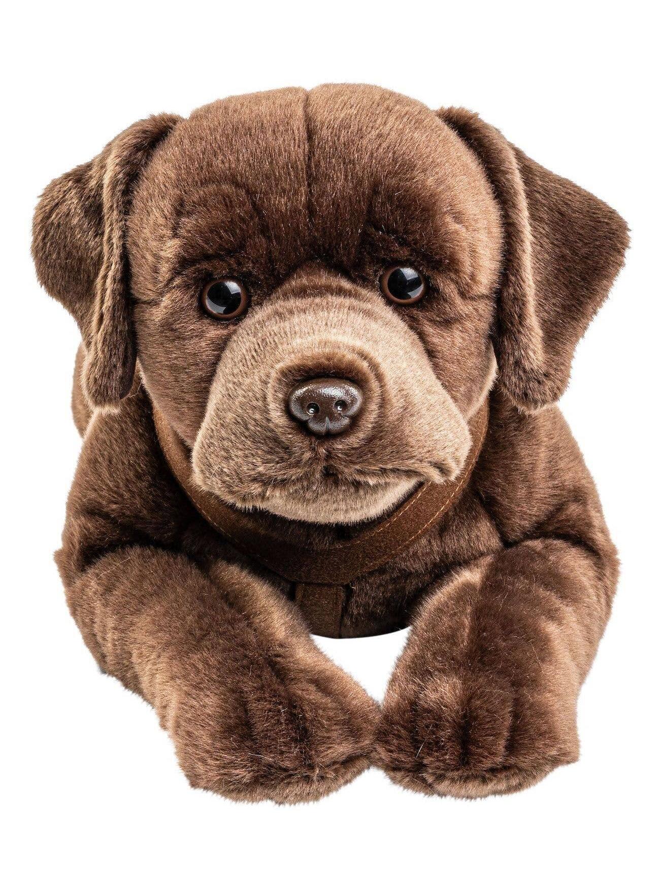 Labrador Plush, Lying with Harness, Brown, 60 cm