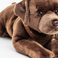 Labrador Plush, Lying with Harness, Brown, 60 cm